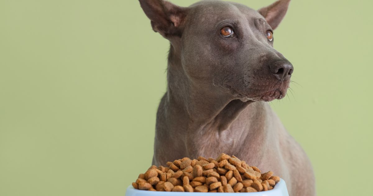 jak-poznat-zkazene-granule (1)